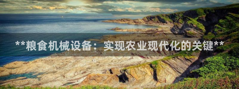 九游会在线官方网站下载吗