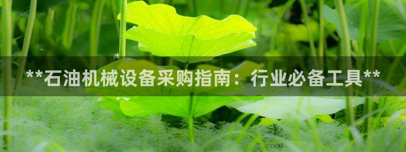 九游会网址多少