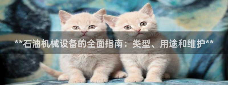 九游会员官网真人游戏第一品牌