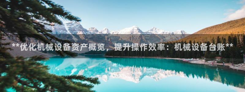 j9九游会官网