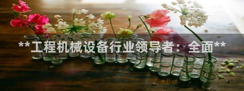 j9九游会平台