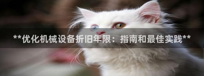 J9九游会老网站