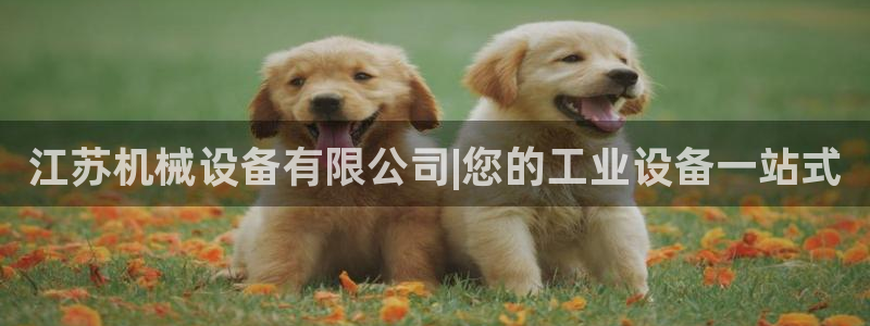 九游会最新网站