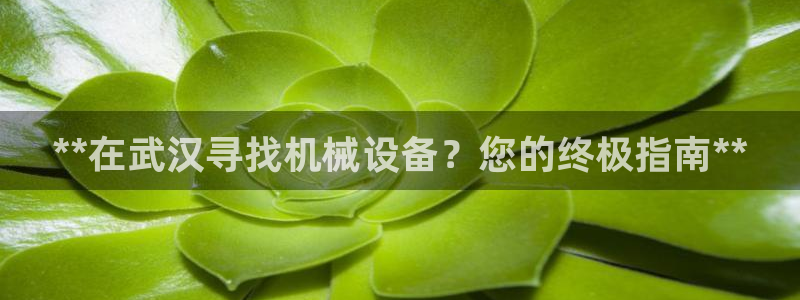 九游会首页登录 - j9九游会 - welcome