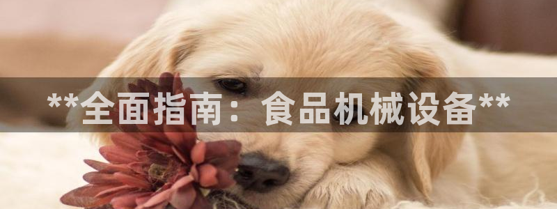 九游会在线官方网站登录吗