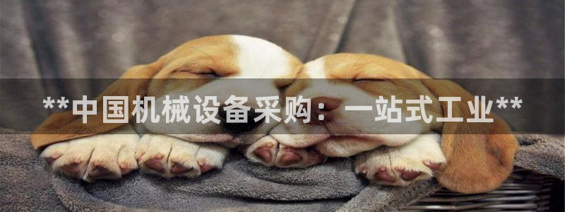 9游会app