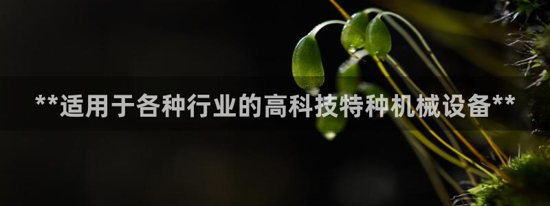 九游会j9官方网站