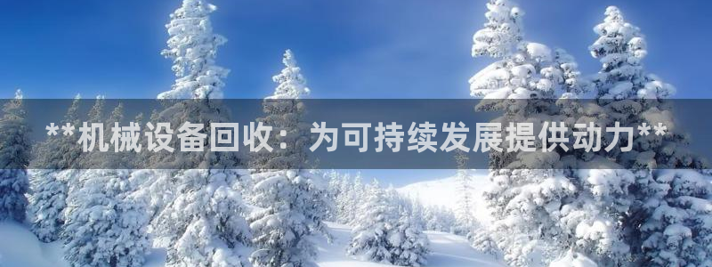 九游会官网真人