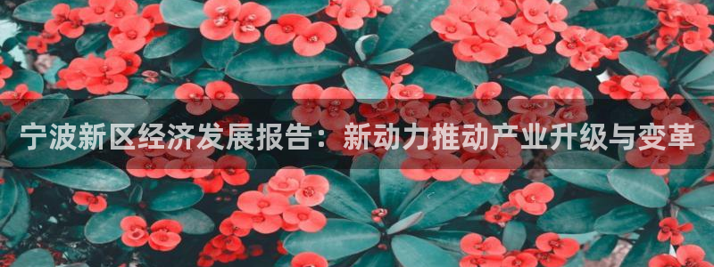 九游会app官方
