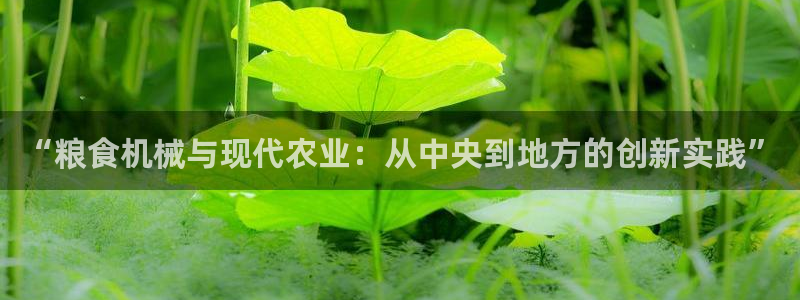 九游会官网平台：“粮