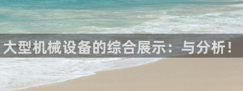 九游会国际站：大型机