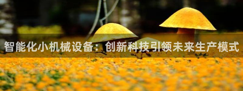 九游会J9官网入口