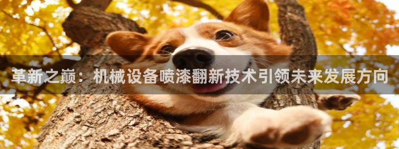 J9九游会ag：革新