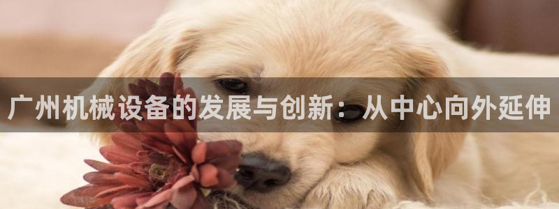 九游会官网在线