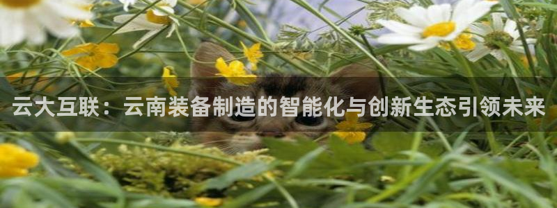 J9九游会俱乐部官方