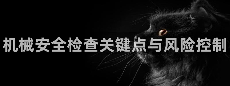 九游会提款安全吗