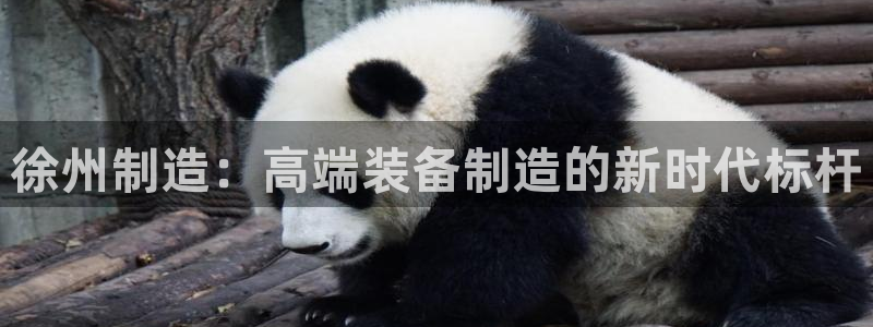 九游会集团货币